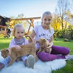 Kendlgut Am Biobauernhof Inklusive Unbegrenztem Eintritt In Alpentherme * Bad Hofgastein