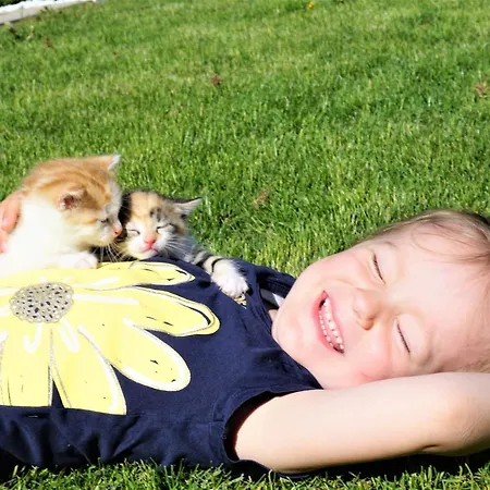 Kendlgut Am Biobauernhof Inklusive Unbegrenztem Eintritt In Alpentherme Appartamento Bad Hofgastein