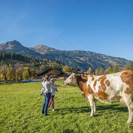 Appartamento Kendlgut Am Biobauernhof Inklusive Unbegrenztem Eintritt In Alpentherme