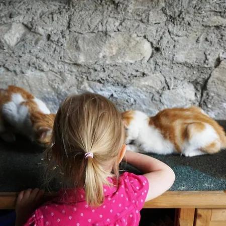 Kendlgut Am Biobauernhof Inklusive Unbegrenztem Eintritt In Alpentherme Appartamento *