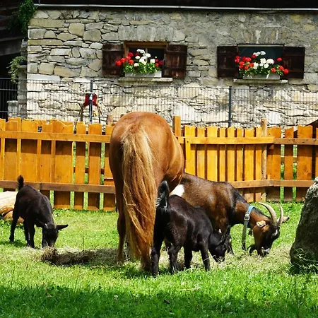 Apartament Kendlgut Am Biobauernhof Inklusive Unbegrenztem Eintritt In Alpentherme *