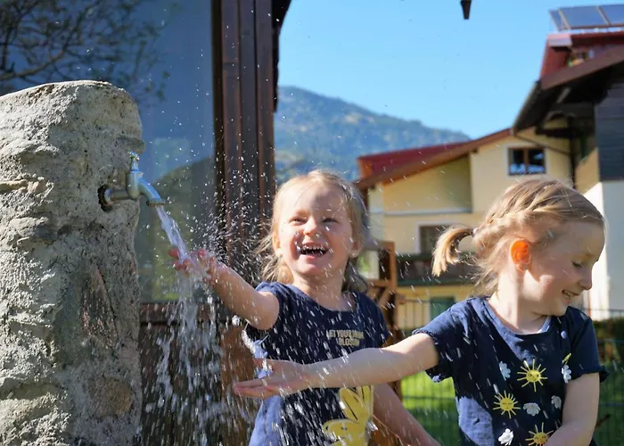 Kendlgut Am Biobauernhof Inklusive Unbegrenztem Eintritt In Alpentherme * Bad Hofgastein