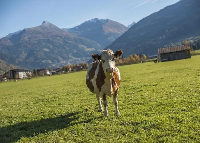 Kendlgut Am Biobauernhof Inklusive Unbegrenztem Eintritt In Alpentherme Apartament Bad Hofgastein