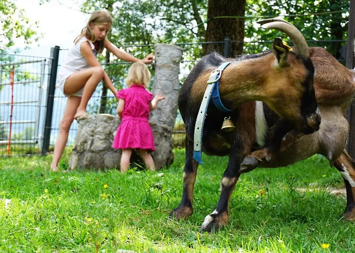 Kendlgut Am Biobauernhof Inklusive Unbegrenztem Eintritt In Alpentherme Bad Hofgastein