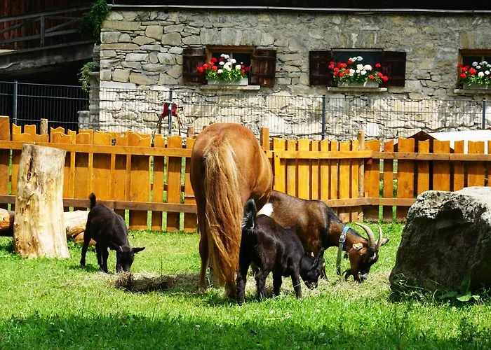 Apartament Kendlgut Am Biobauernhof Inklusive Unbegrenztem Eintritt In Alpentherme *